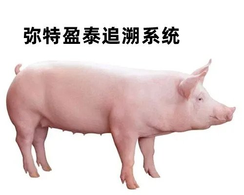 ׷ϵͳԴ